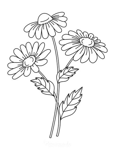 Flor para Colorear