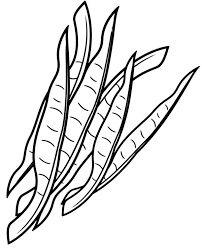Dibujo de Frijol Increíble para Colorear y Imprimir