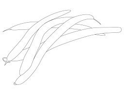 Dibujo de Frijoles Básicos para Colorear y Imprimir
