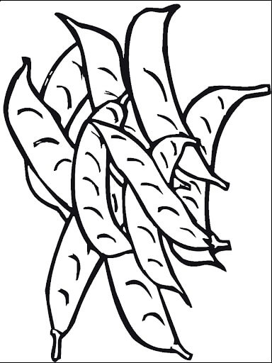 Dibujo de Frijoles Normales para Colorear y Imprimir