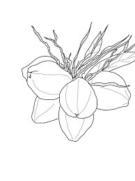 Dibujo de Cinco Coco para Colorear y Imprimir