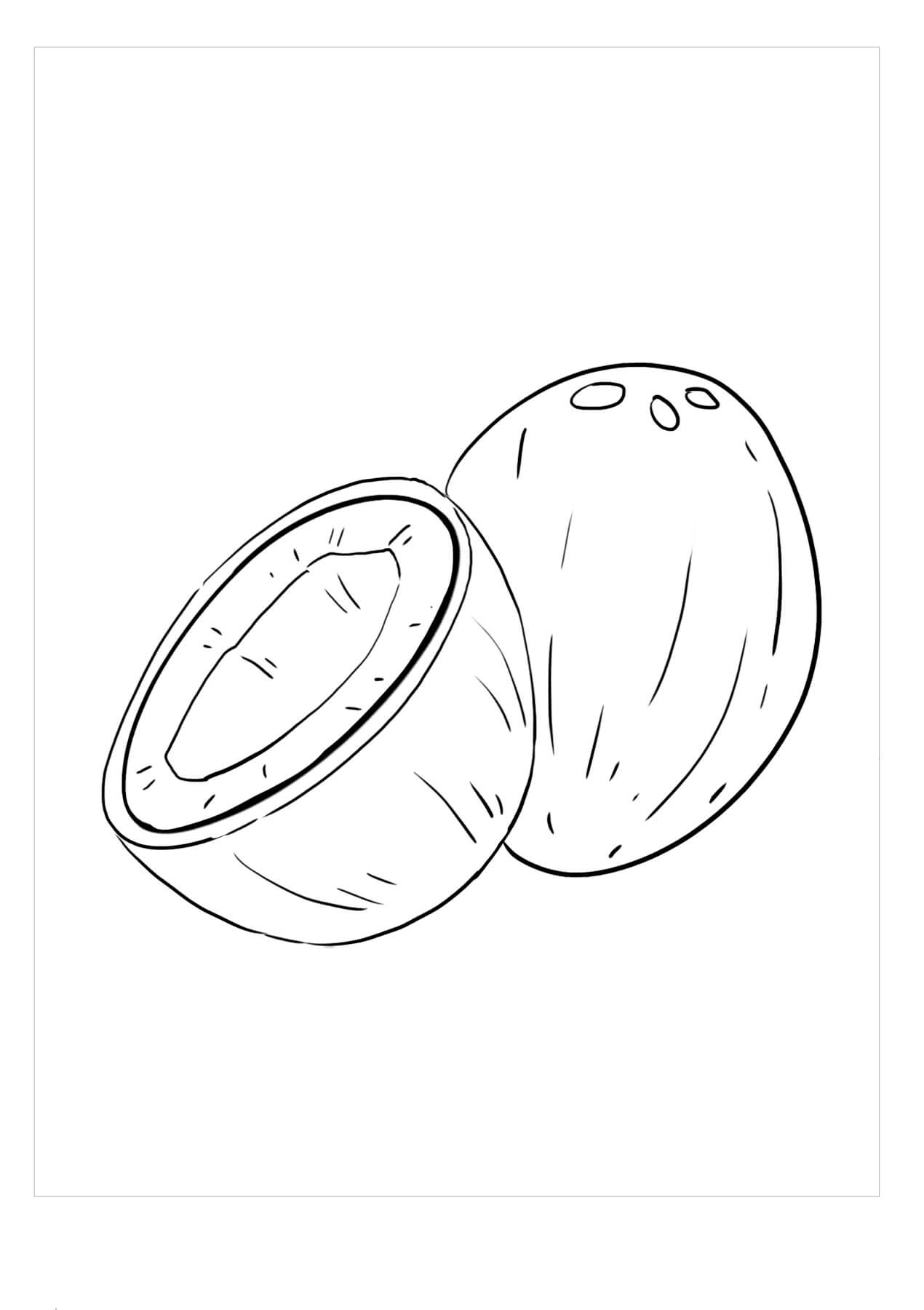 Dibujo de Coco Normal para Colorear y Imprimir