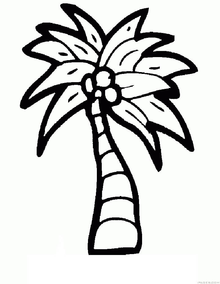 Dibujo de Dibujo de Árbol de Coco para Colorear y Imprimir