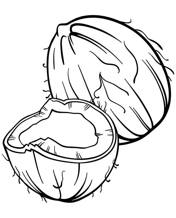 Dibujo de Dibujo de Coco para Colorear y Imprimir