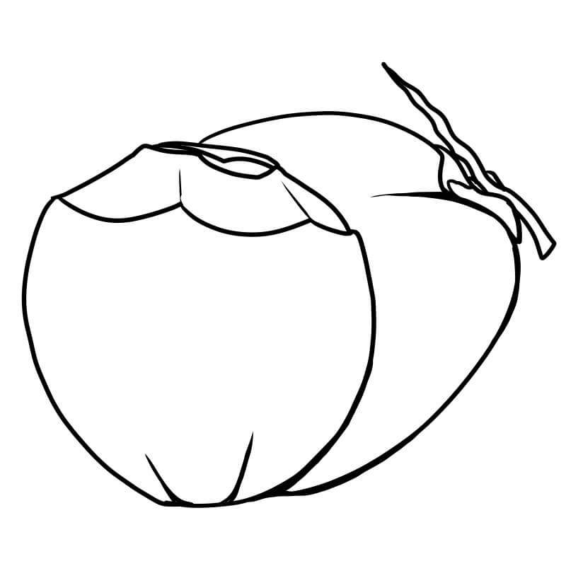 Dibujo de dos Cocos para Colorear y Imprimir