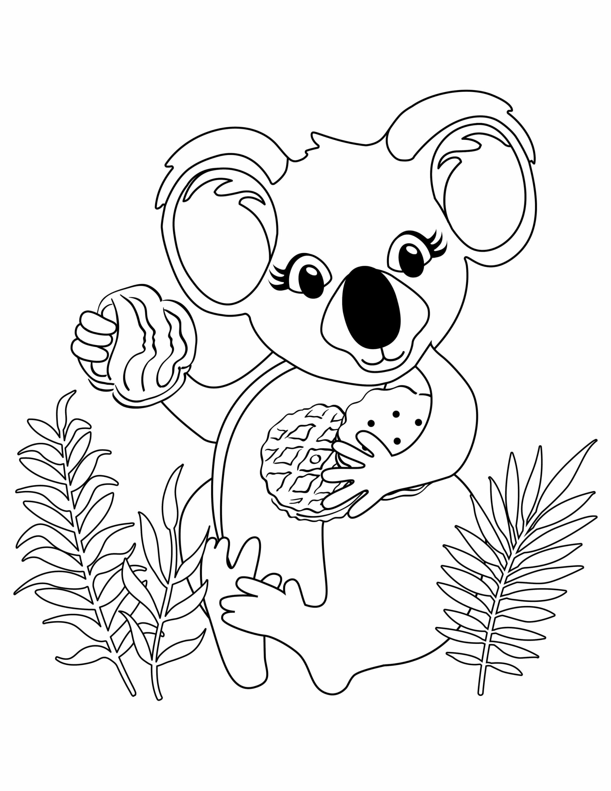 dibujo koala con galletas para colorear