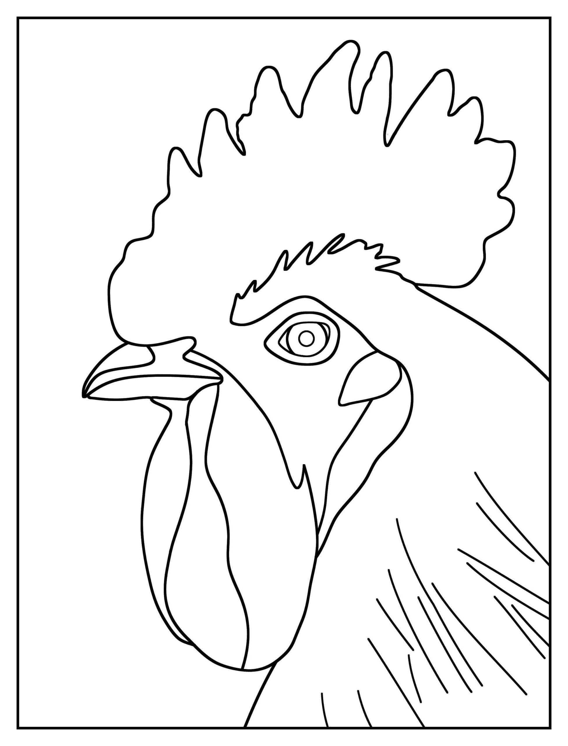 Dibujo de Cabeza de Gallo Scaled para Colorear y Imprimir