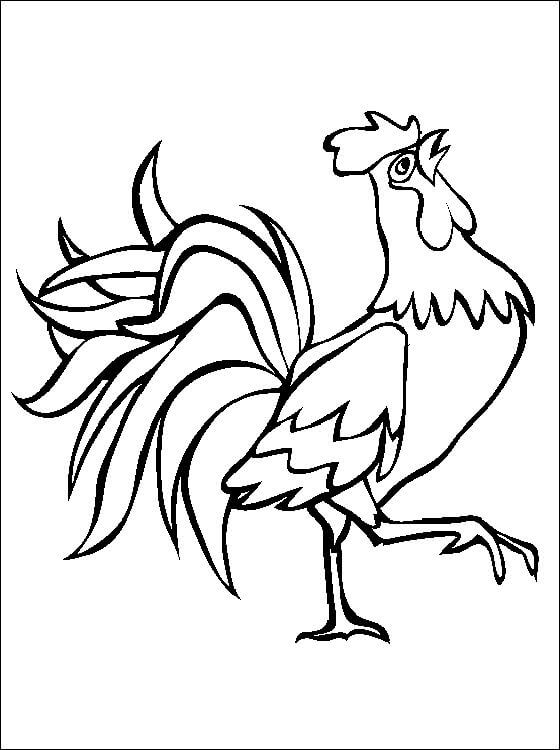 Dibujo de Dibujo Gallo para Colorear y Imprimir