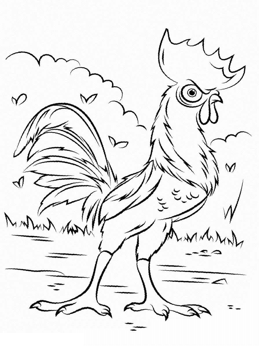 Dibujo de Dibujo Hei Hei Gallo para Colorear y Imprimir