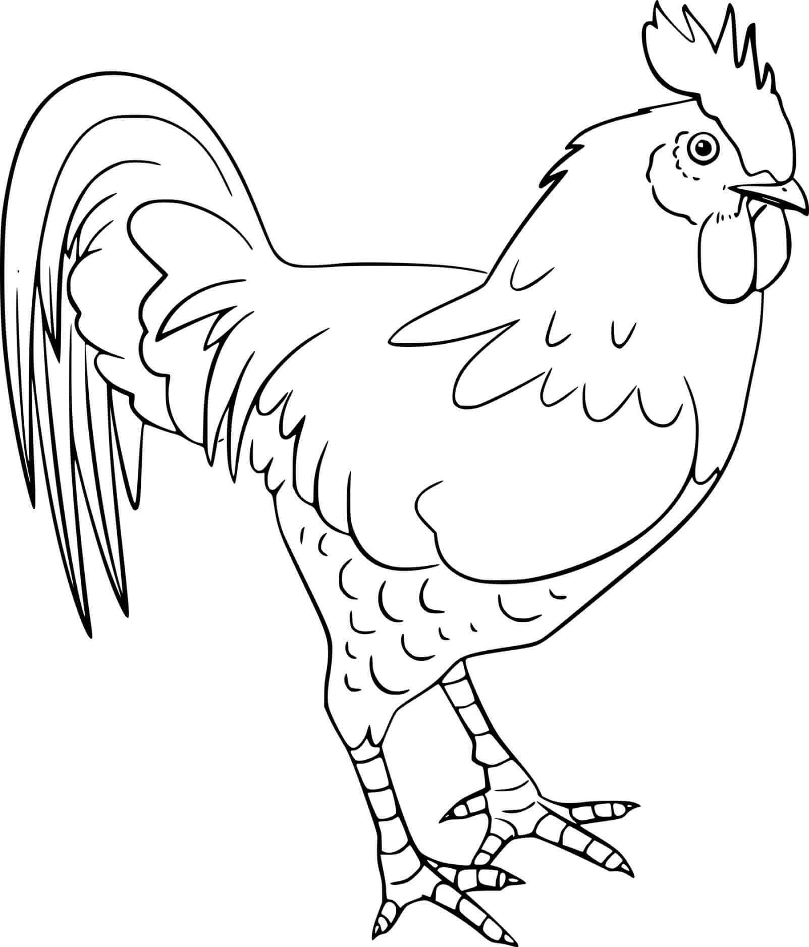 Dibujo de Gallo Asombroso para Colorear y Imprimir