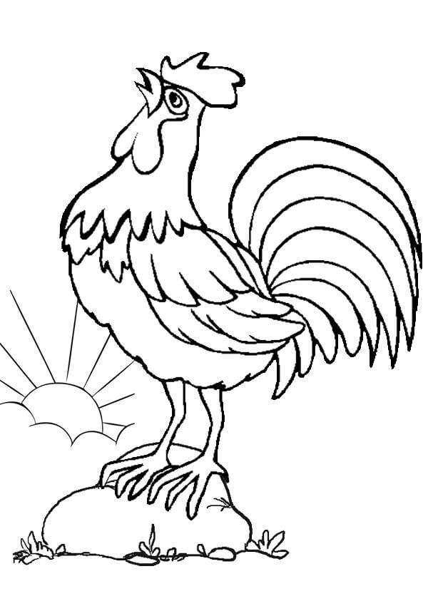 Dibujo de Gallo de Pie sobre Roca para Colorear y Imprimir