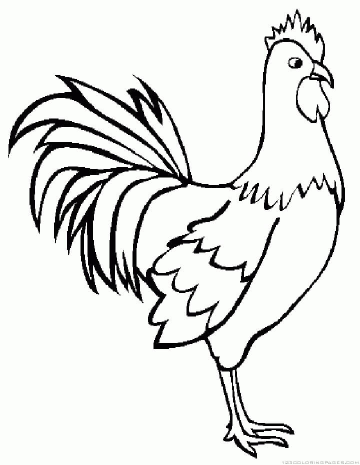 Dibujo de Gallo Dibujo Basíco para Colorear y Imprimir
