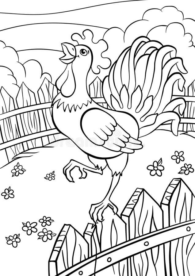Dibujo de Gallo En Granja para Colorear y Imprimir