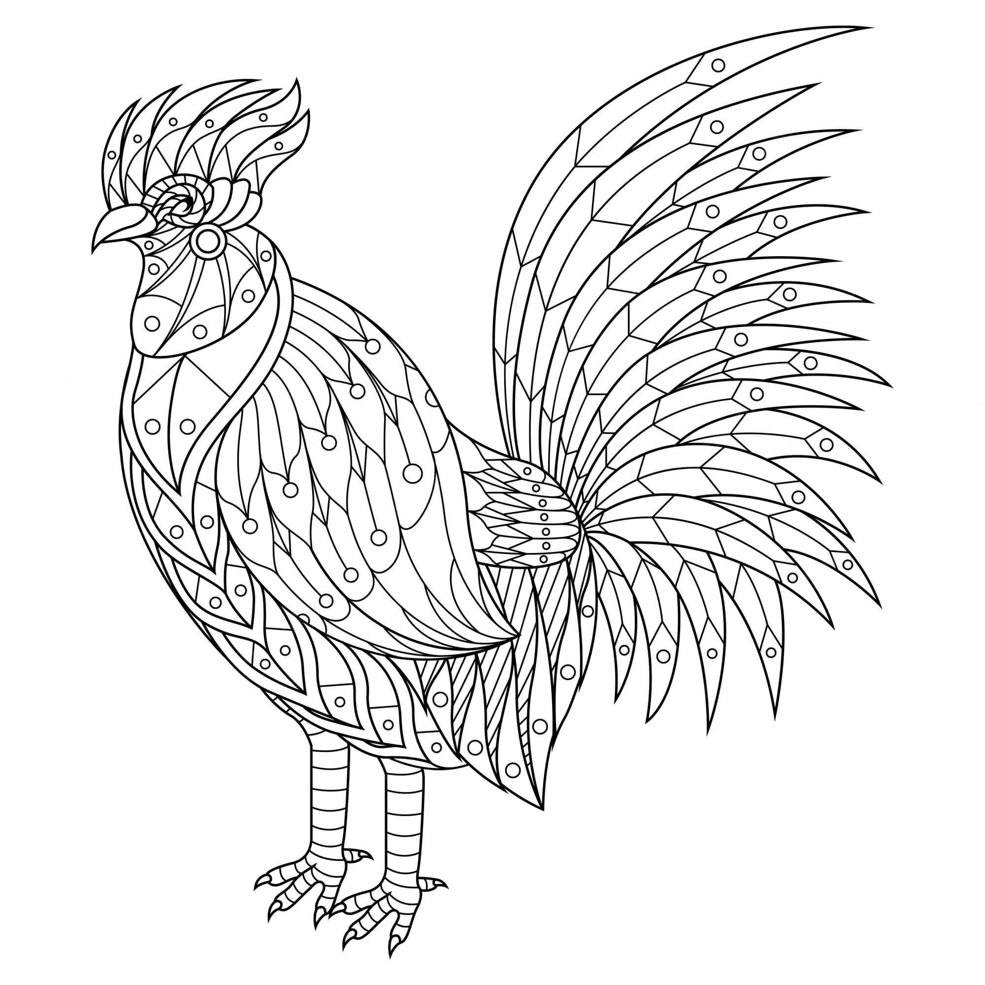 Dibujo de Gallo Es para Adulto para Colorear y Imprimir