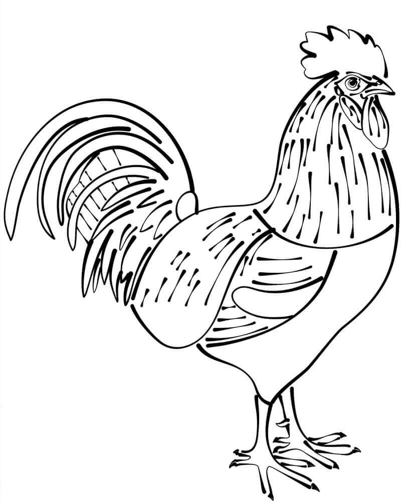 Dibujo de Gallo Impresionante para Colorear y Imprimir