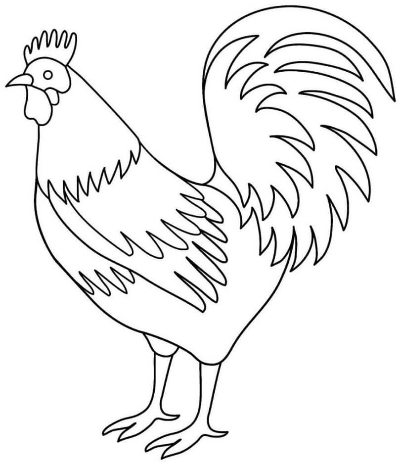 Dibujo de Gallo Sencillo para Colorear y Imprimir