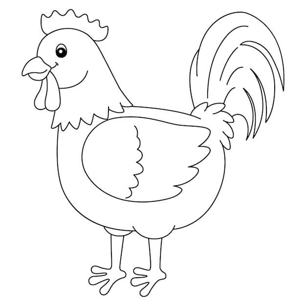 Dibujo de Gallo Sonriente para Colorear y Imprimir