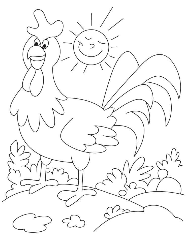 Dibujo de Gallo y Sol para Colorear y Imprimir