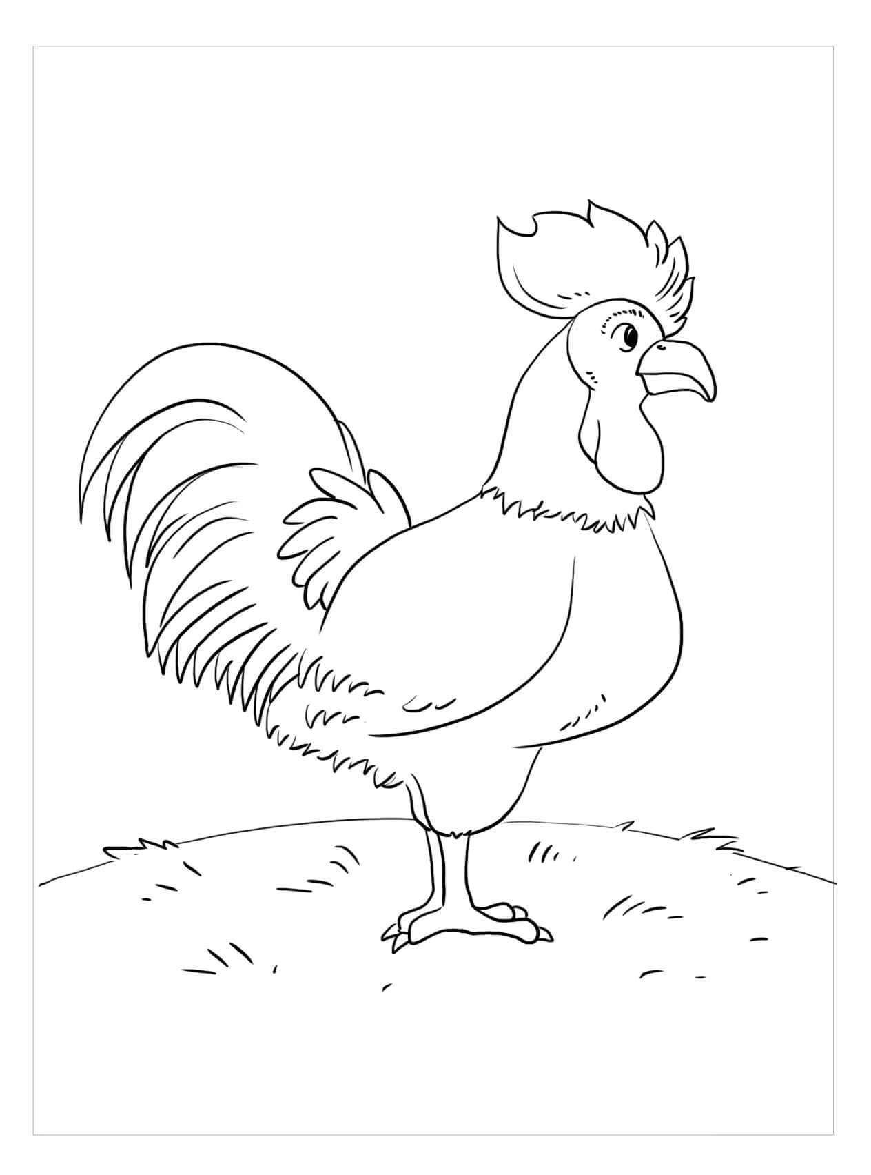Dibujo de Gran Gallo para Colorear y Imprimir