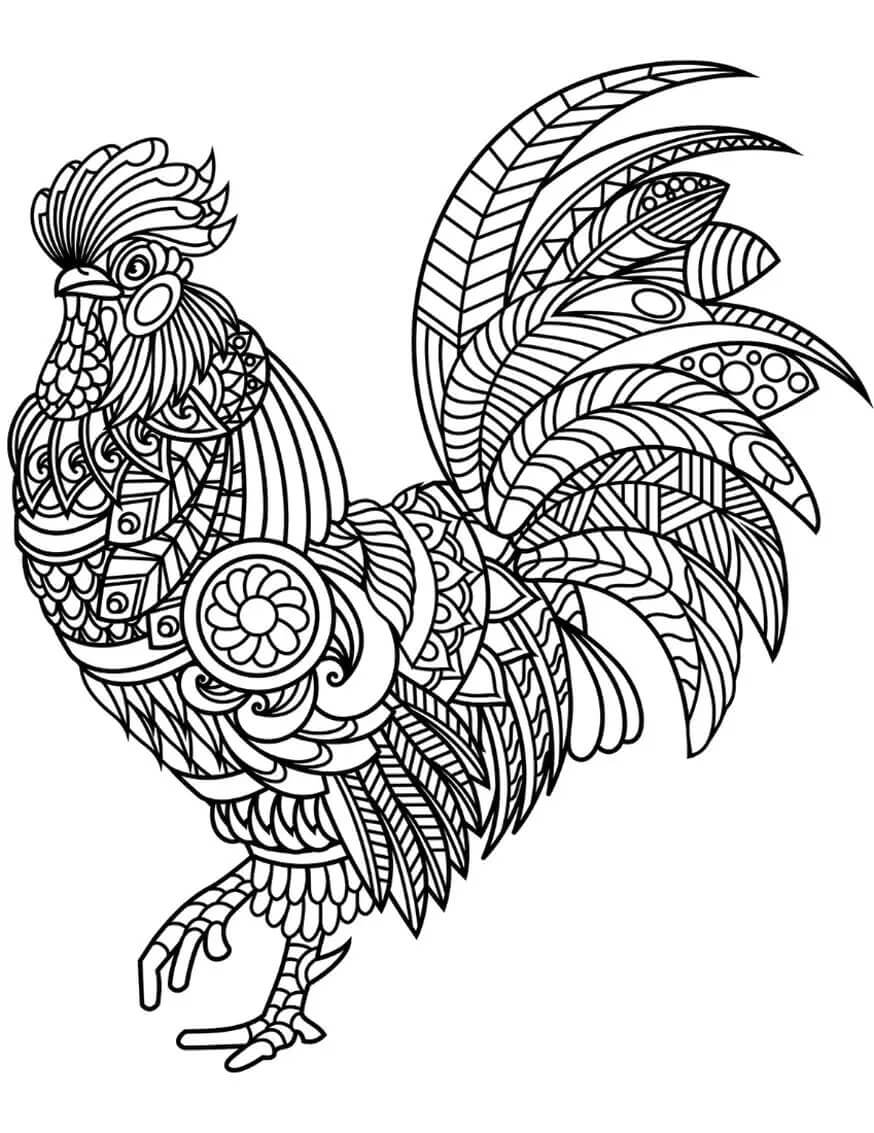 Gallo para Colorear
