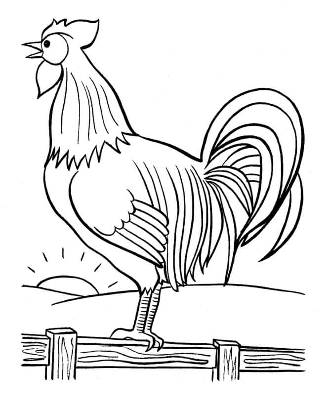 Dibujo de Nuca de Gallo para Colorear y Imprimir