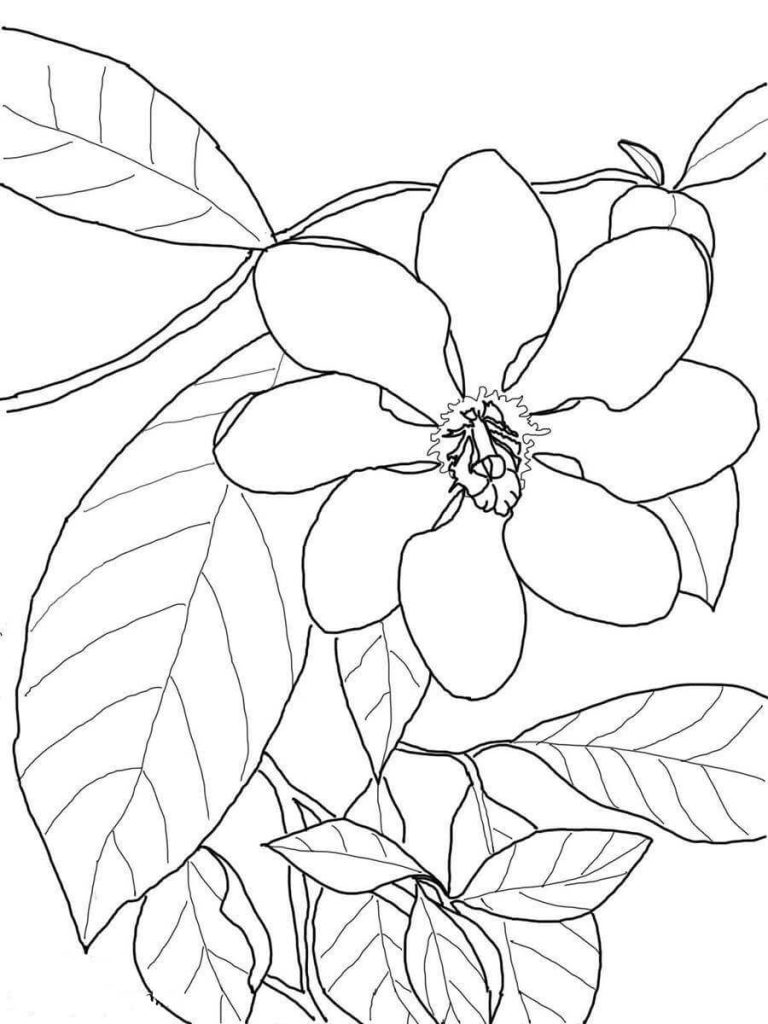 Dibujo de Gardenia Básica Con Hoja para Colorear y Imprimir