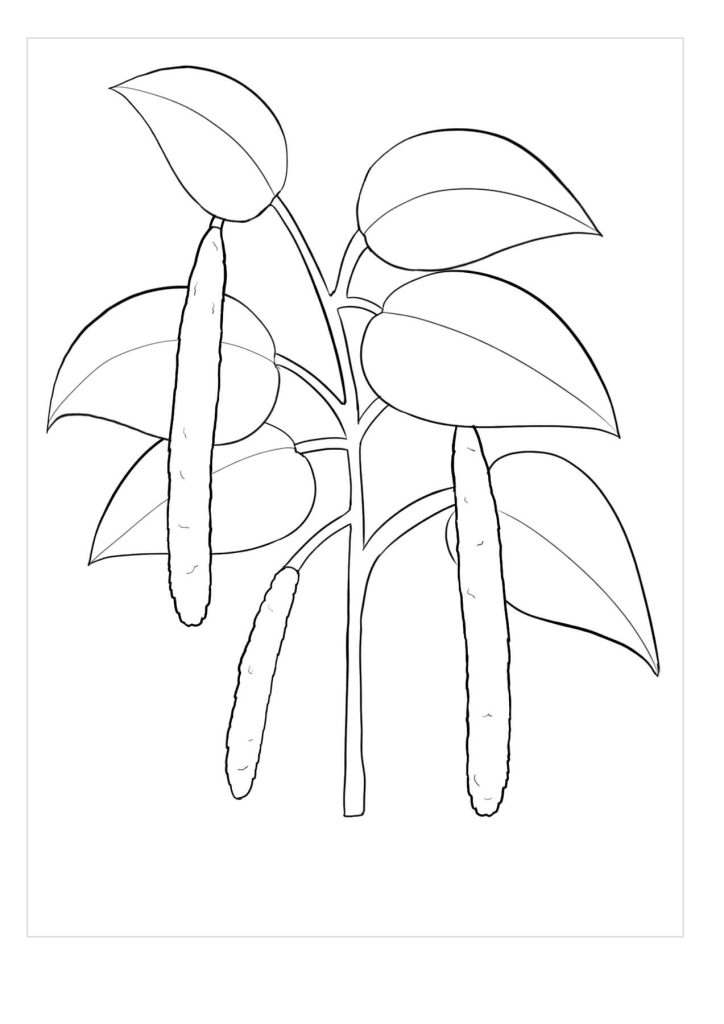 Dibujo de Gardenia Imprimible para Colorear y Imprimir