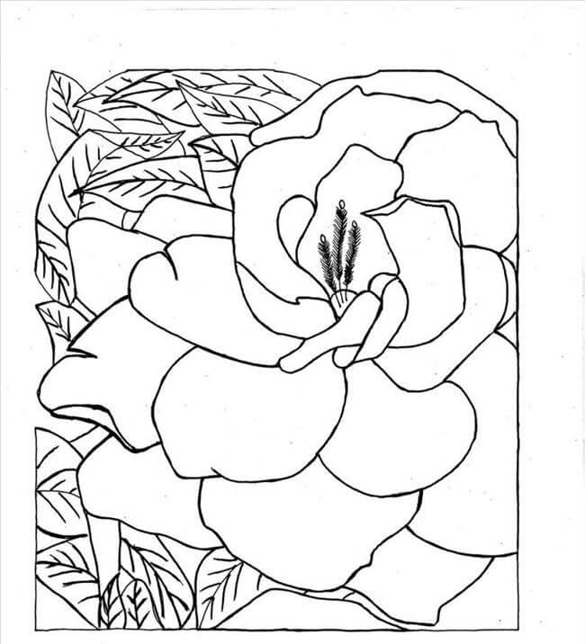 Dibujo de Gran Gardenia para Colorear y Imprimir
