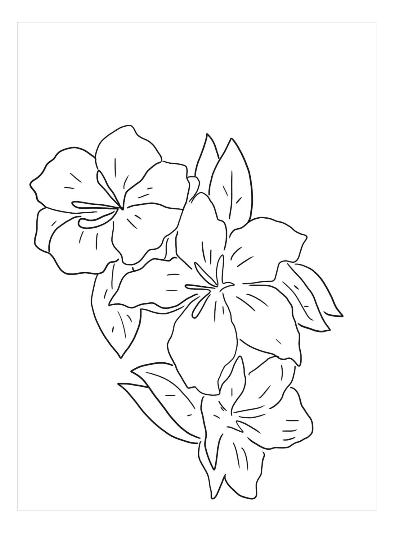 Dibujo de Increíble Gardenia para Colorear y Imprimir