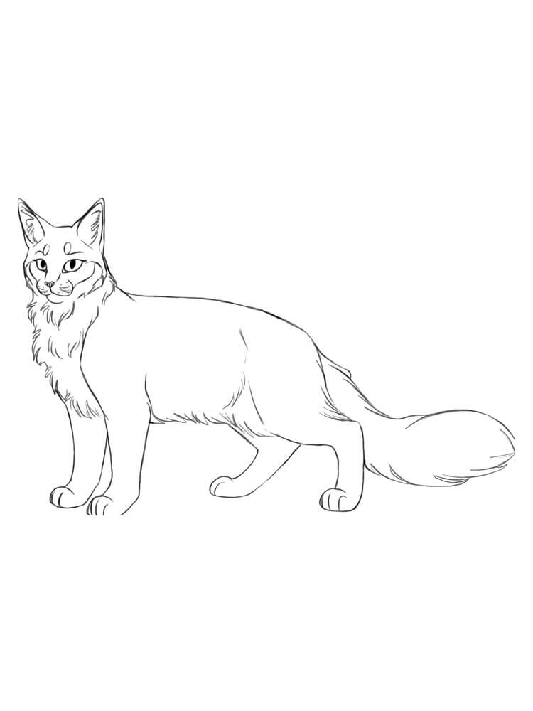 Dibujo de Buen Guerrero Gato para Colorear y Imprimir