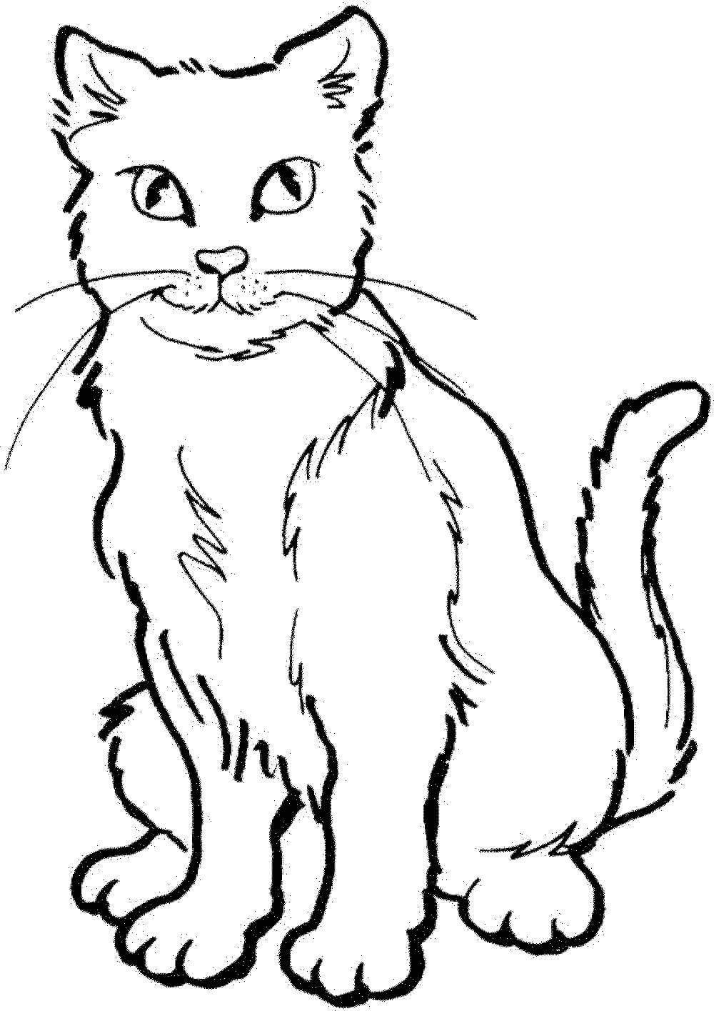 Dibujo de Dibujo Gato Guerrero para Colorear y Imprimir