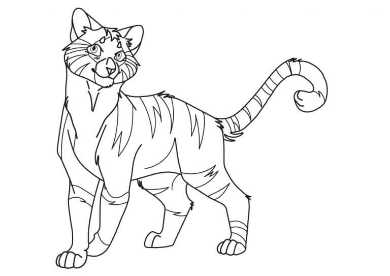 Dibujo de Gato Guerrero Imprimible para Colorear y Imprimir