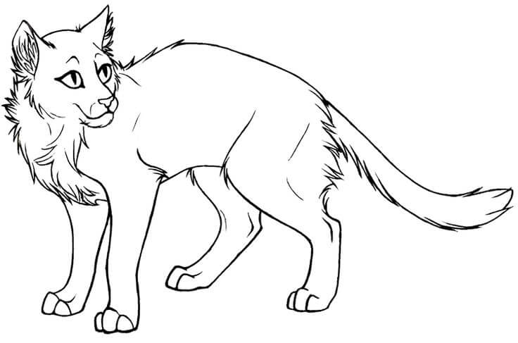 Dibujo de Gatos Guerreros Básicos para Colorear y Imprimir
