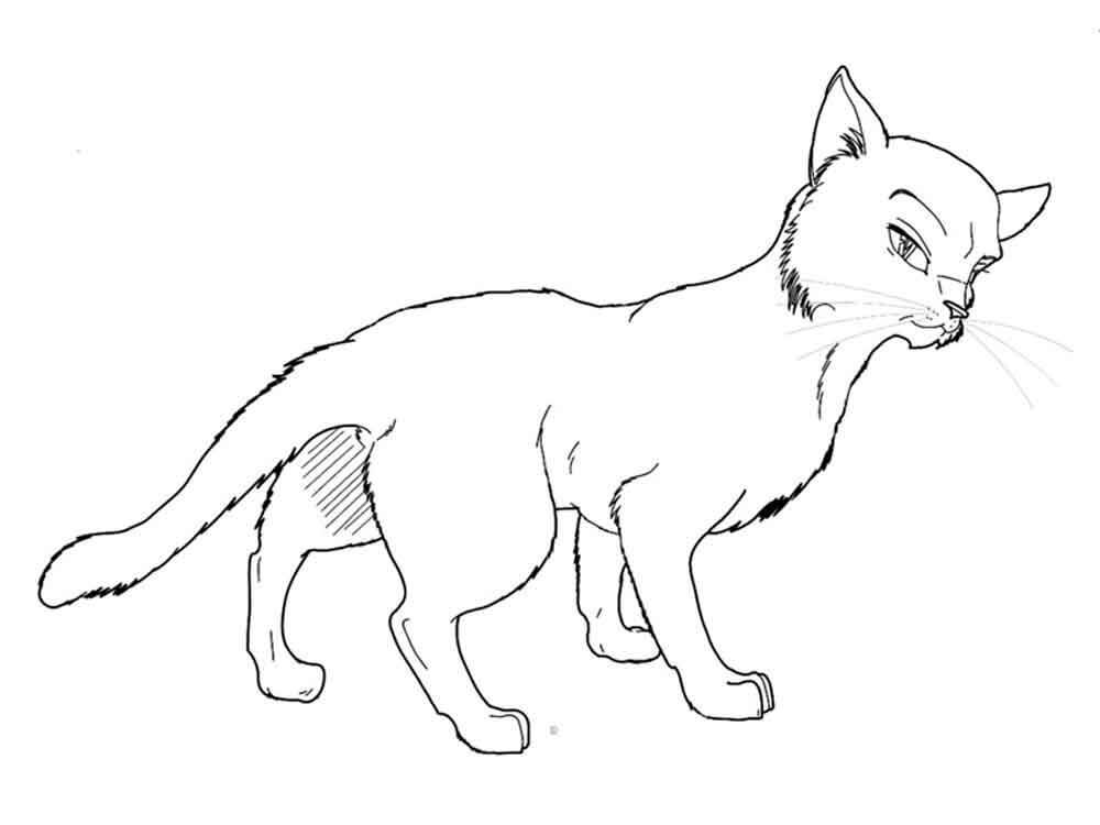 Dibujo de Genial Gato Guerrero para Colorear y Imprimir