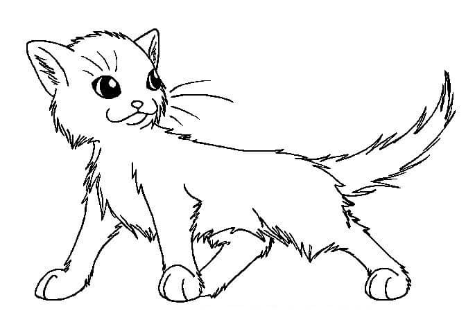 Dibujo de Lindo Gato Guerrero para Colorear y Imprimir