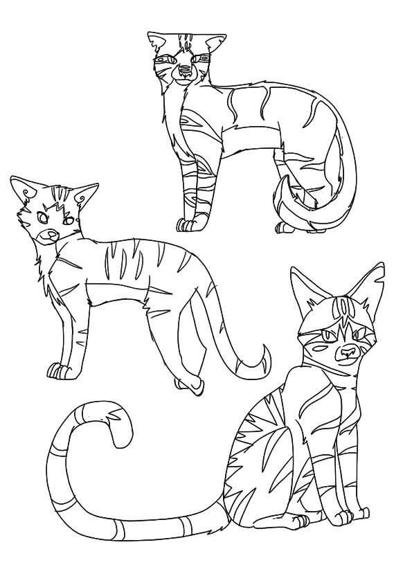 Gatos Guerreros para Colorear