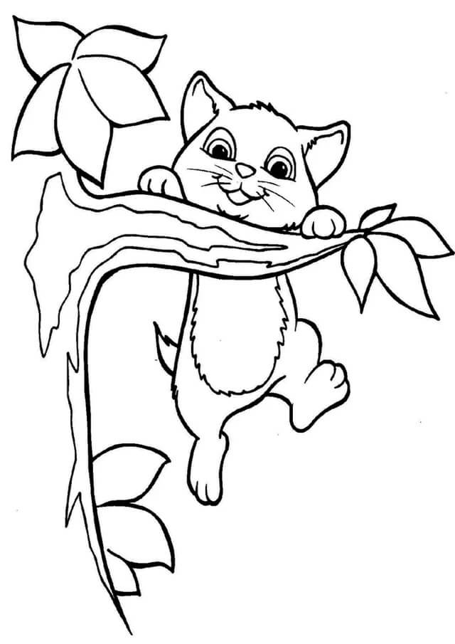 dibujo arbol trepador de gatos para colorear