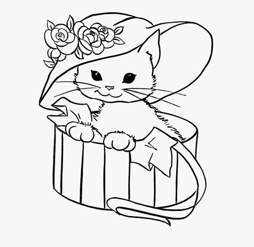 dibujo bebe gato con sombrero flor en caja para colorear