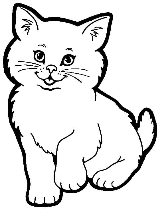 dibujo divertido gato para colorear