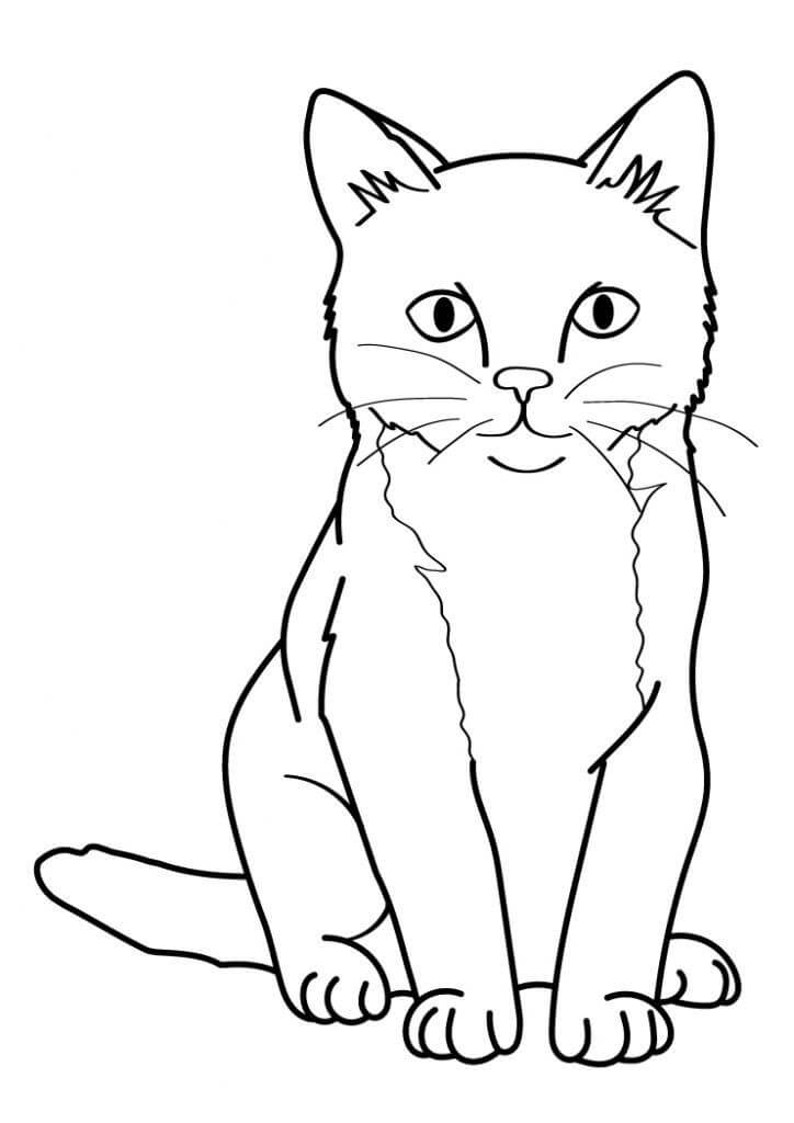 dibujo gato basico para colorear