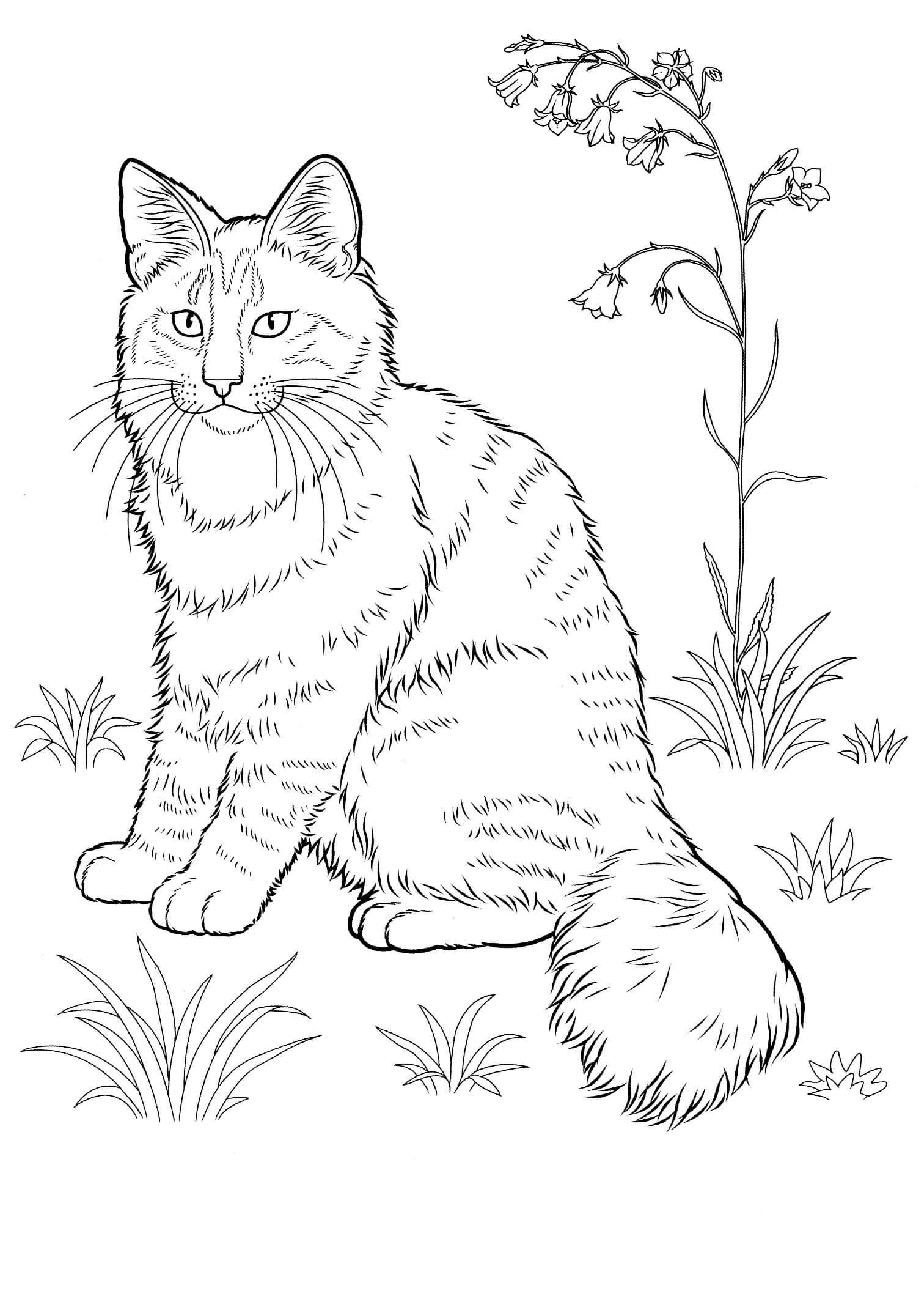 dibujo gato con hierba y flor para colorear
