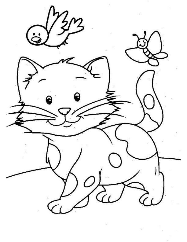 dibujo gato con pajaro y mariposa para colorear