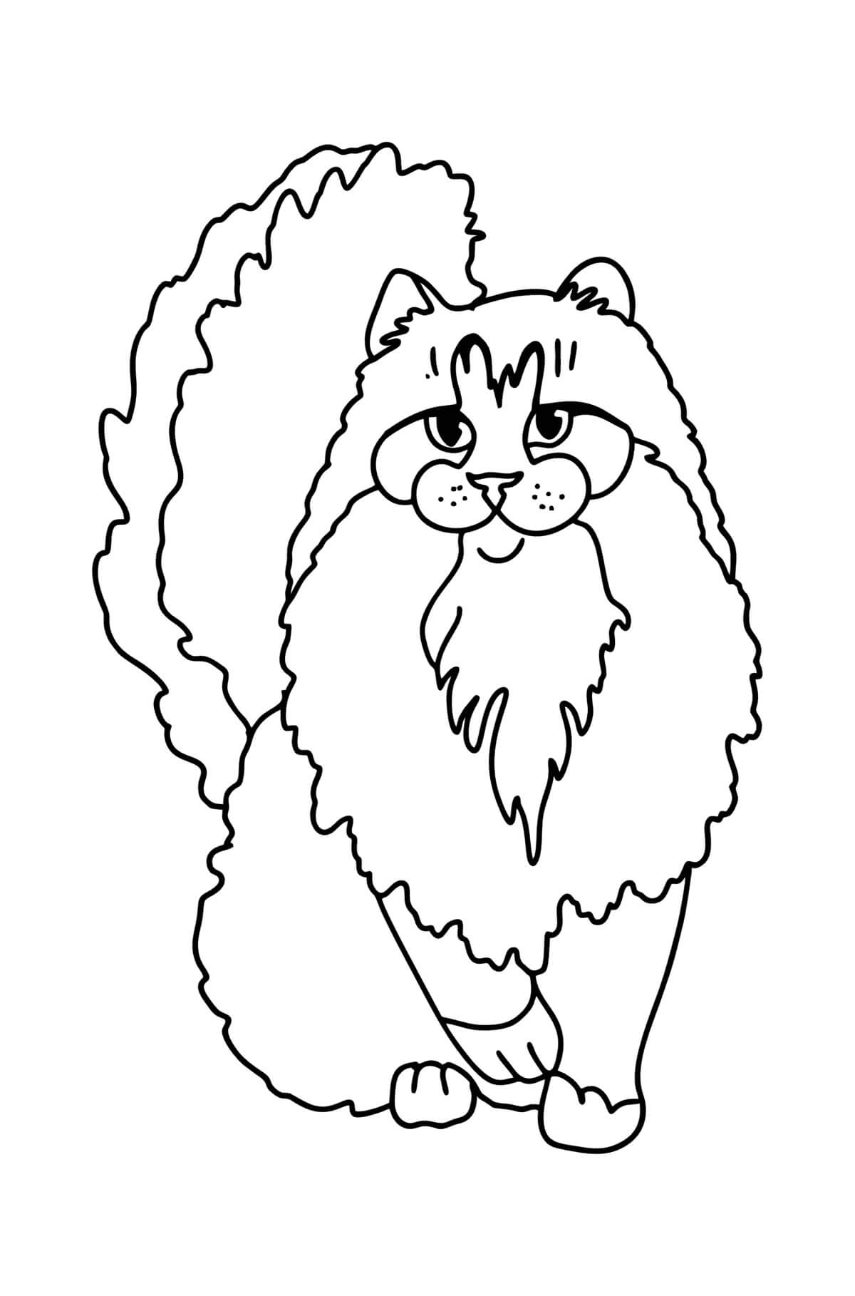 dibujo gato del bosque noruego para colorear