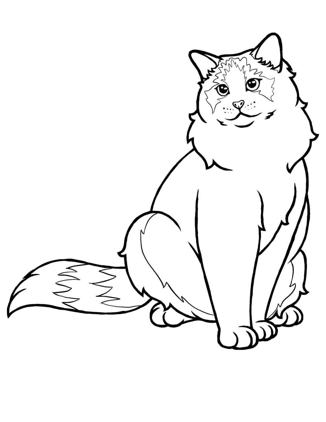 dibujo gato muneco de trapo para colorear