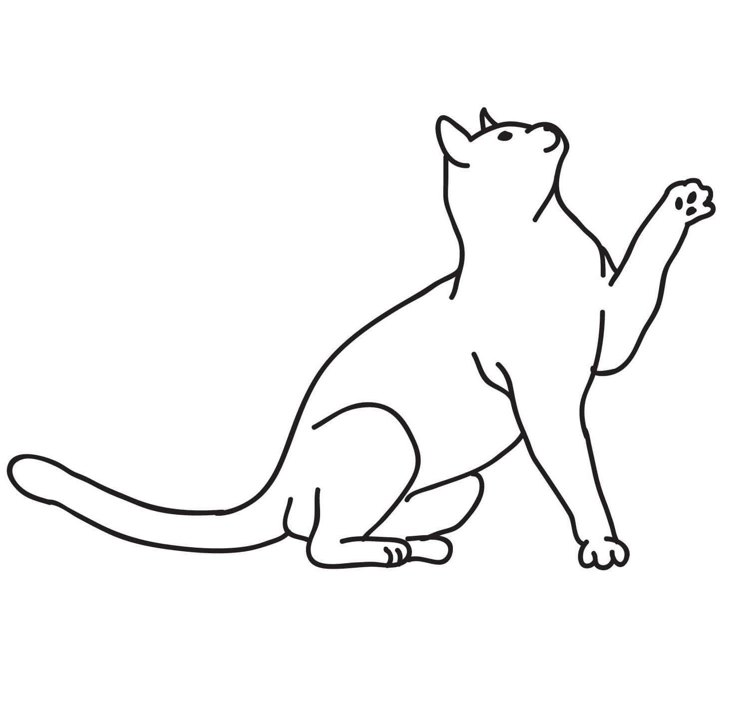 dibujo gato normal para colorear