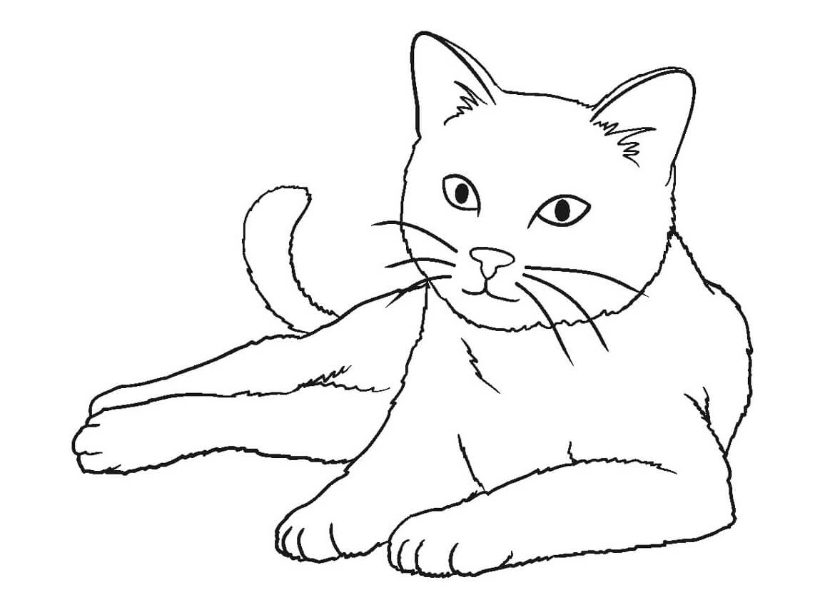 dibujo gran gato para colorear