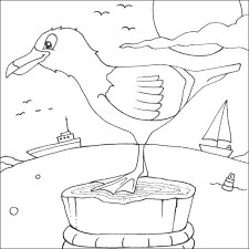 Gaviota para Colorear