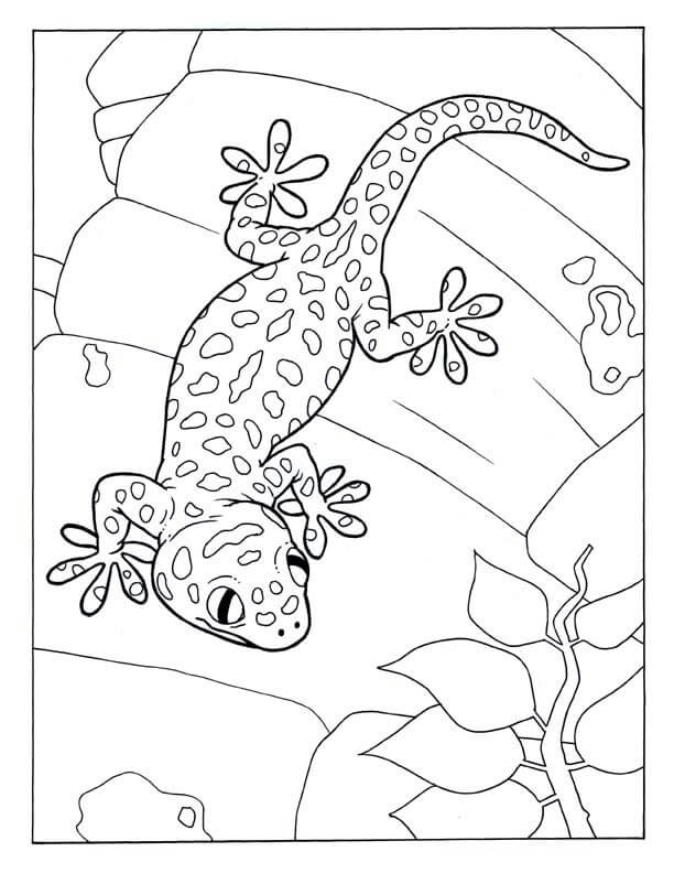 dibujo dulce gecko para colorear
