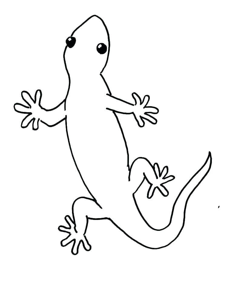 dibujo facil gecko para colorear