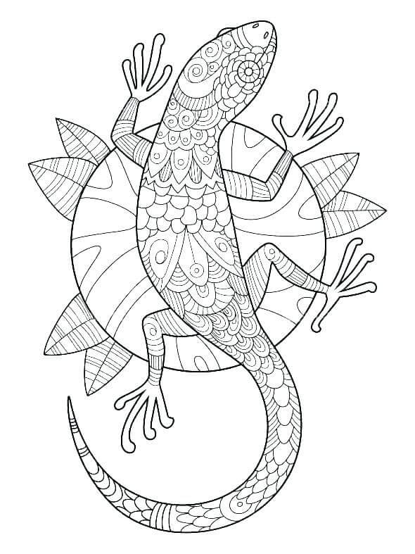 dibujo gecko es para adultos para colorear